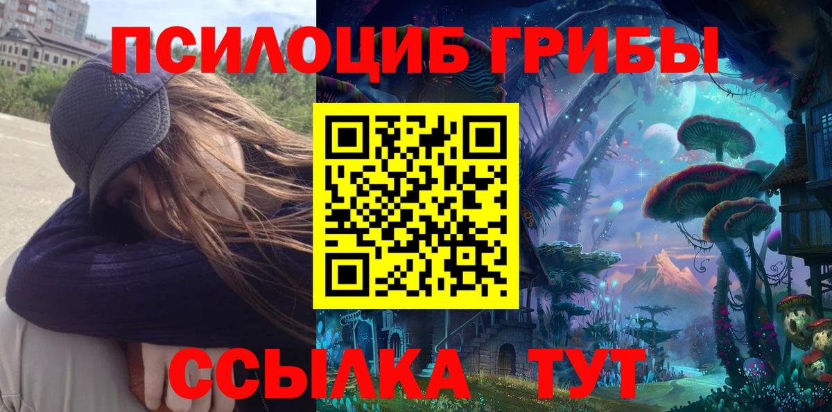 Волжский  Псилоцибиновые грибы Psilocybe  Вход с VPN  Псилоцибиновые грибы MAGIC MUSHROOMS 