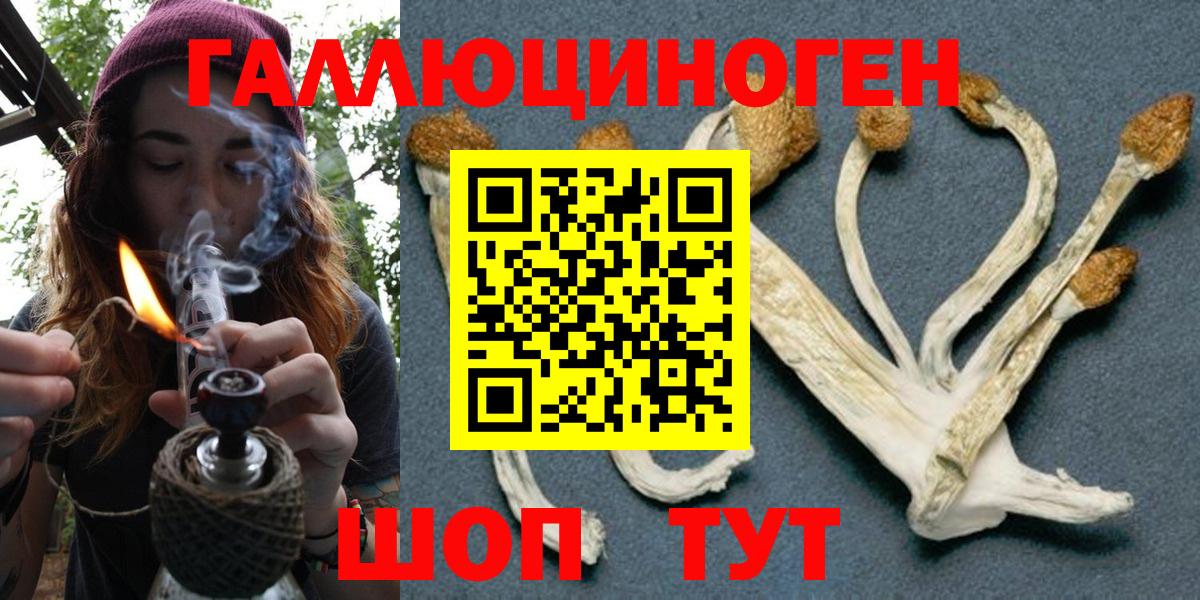 Псилоцибиновые грибы MAGIC MUSHROOMS Волжский